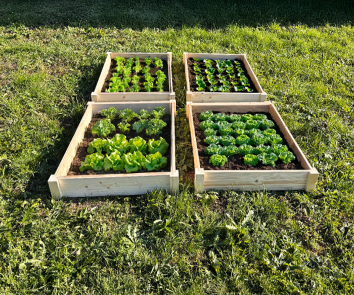 LSH ModulBox - „Herb Garden Raised Garden Bed"
