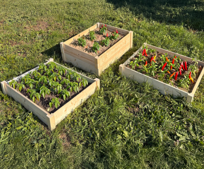LSH ModulBox - „Harmony Raised Garden Bed"