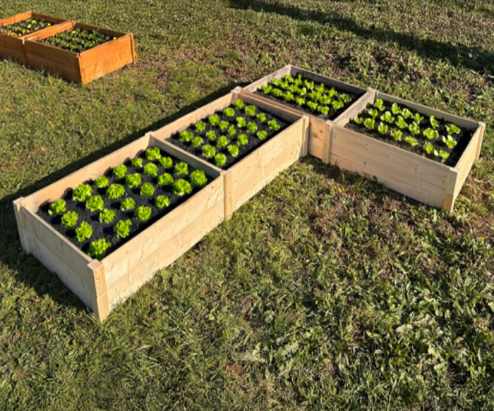 LSH ModulBox - „Garden Mania Raised Garden Bed"