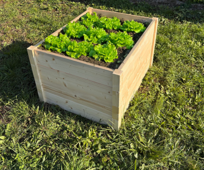 LSH ModulBox - „START Raised Garden Bed""